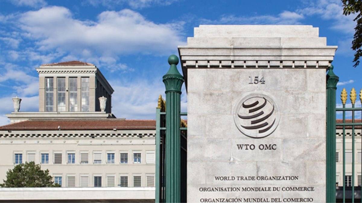 India’s Rapid Economic Growth Is Linked To Strong Trade Growth: WTO