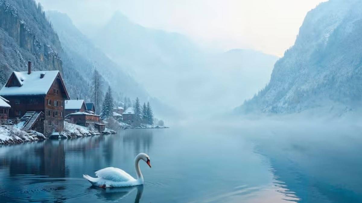 Agumbe To Chorla Ghats: This November, Visit These Offbeat Destinations In Western Ghats