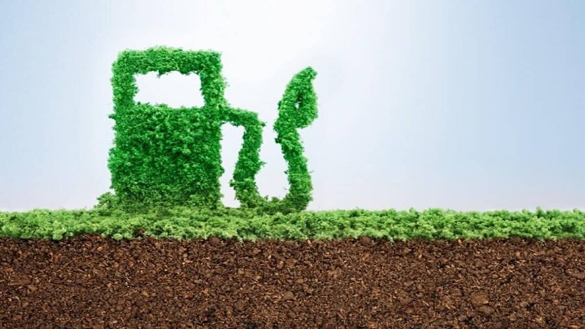 Nitin Gadkari Pushes For Bio-Ethanol Fuelled Cars, Says ‘Indian Farmers To Benefit’