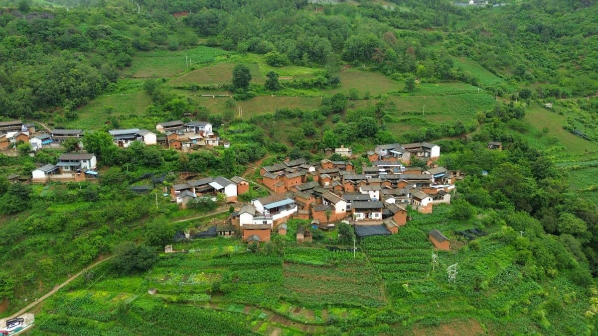 ‘Hallmark of Prosperity’: Rural India Consumption Rises, 80% Of Households Report Higher Spending, NABARD Finds