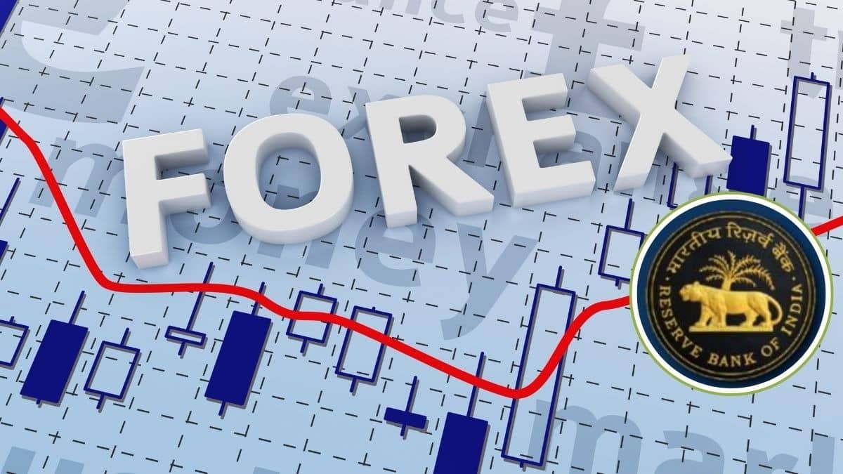 India’s Forex Reserves Edge Up to $687 Bn on Gold Surge, Near Record High.