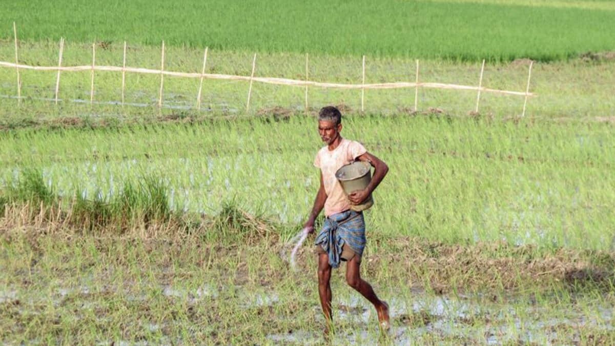 India’s Fertiliser Supply Stable Amid Regional Shortages: Nano Urea Push for Self-Reliance