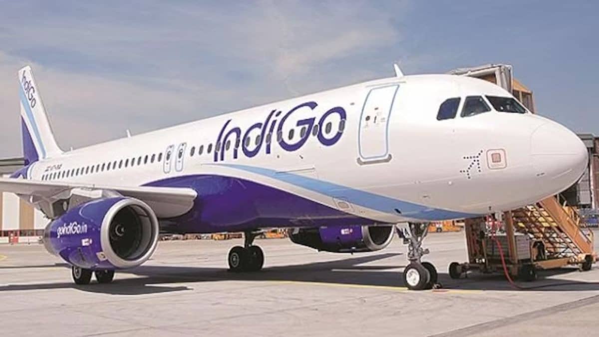 Indigo Cancels Over 180 Flights: Top Pilot Union Chief Calls Ongoing Aviation Crisis ‘Artificial In Nature’