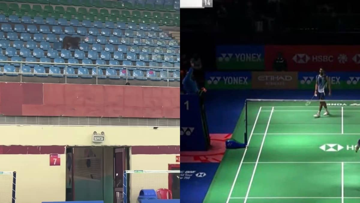 Furore After Pigeon Droppings, Monkeys At Delhi’s Badminton Venue; Global Badminton Star Walks Out