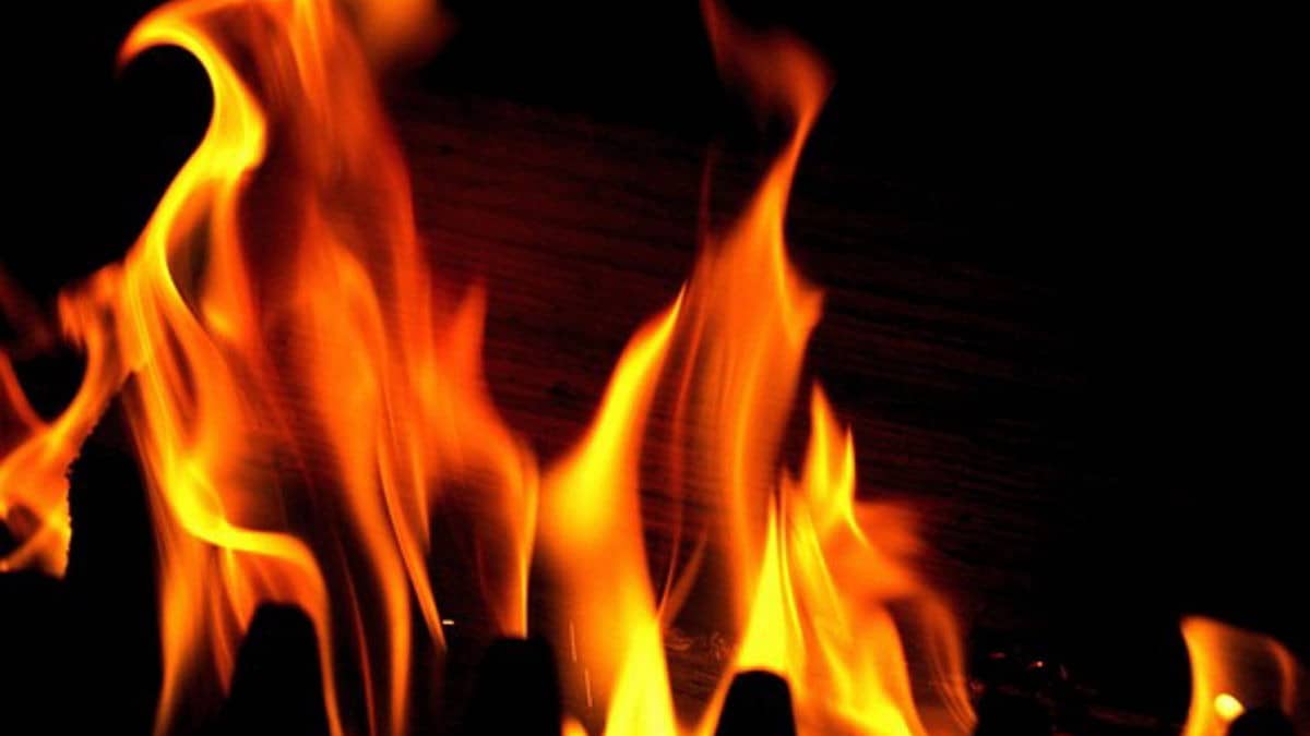 Delhi: Fire Breaks Out In Locked Flat In Vasant Kunj’s Ganga Yamuna Apartment