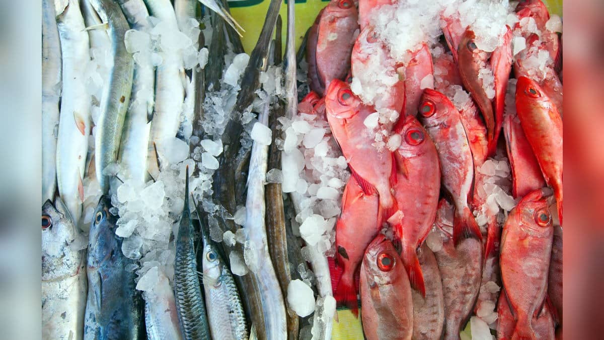 Open Sale Of Meat, Fish To Be Banned Near Schools, Religious Sites, And Crowded Public Places In This State