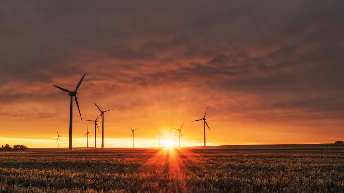 Will PFC-REC Merger Involving $61 Billion Debt Aid India’s Credit Market?