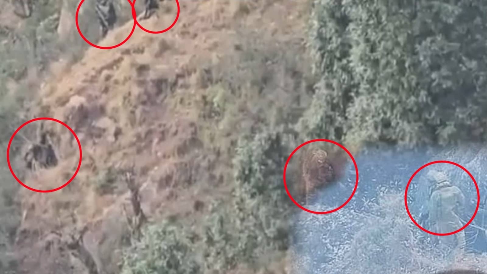 Udhampur Encounter: Two Jaish Terrorists Killed, Top Commander Among Dead