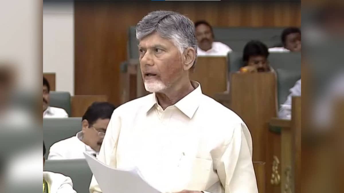 Andhra Pradesh To Block Social Media Access For Children Under 13 Within 90 Days: CM Chandrababu Naidu