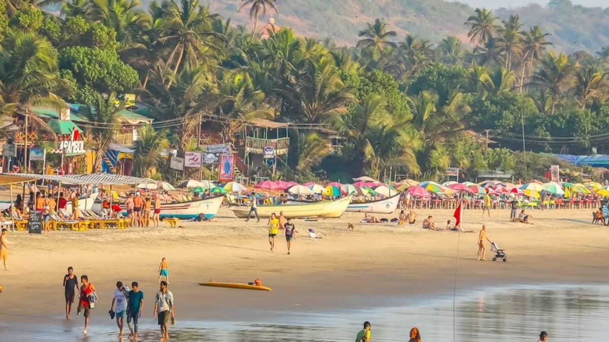 Corporate Tourism Clashes With Agricultural Heritage In North Goa