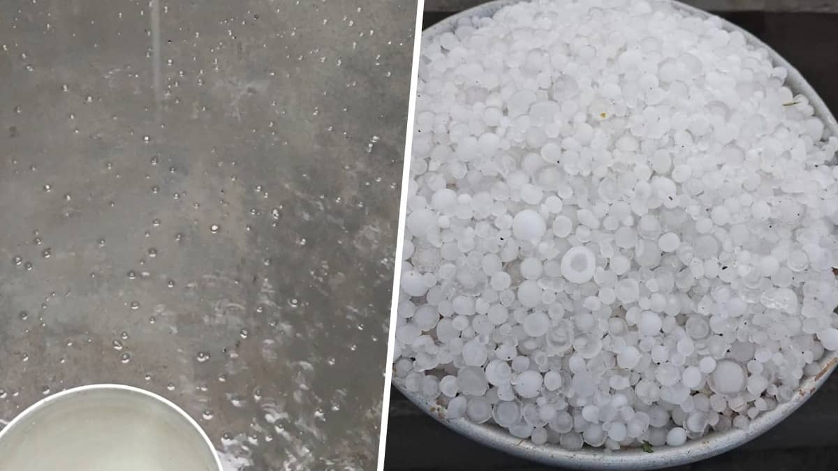 Shimla Turns White As Hailstorm Brings Chill To Hill Town, Orange Alert Issued For Next 2 Days