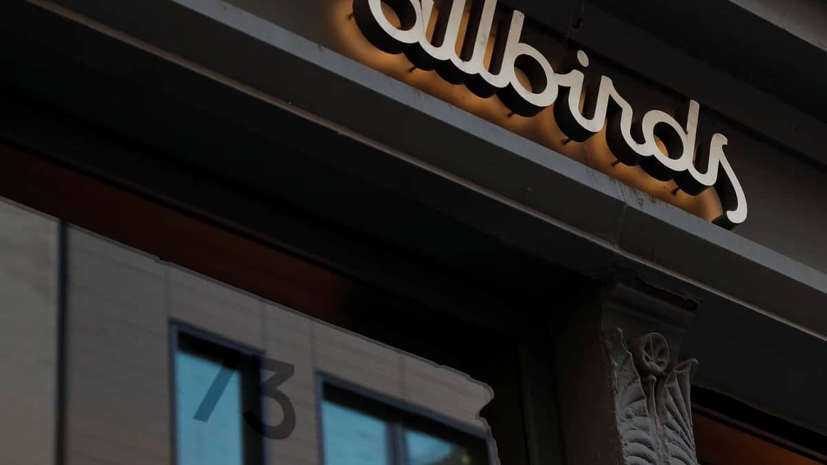 Silicon Valley’s Favorite Shoe Brand Dumps Footwear for AI Chips, And the Stock Soared 876%