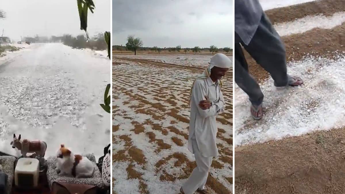 Desert Turns Snow-White: Rare Hailstorm Blankets Parts Of Rajasthan’s Bikaner | WATCH
