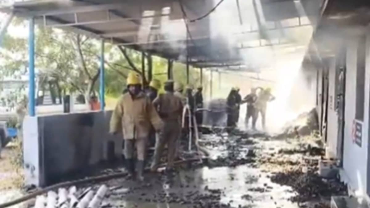 ‘Deeply Distressing’: How PM Modi, Rahul Gandhi, Stalin Reacted To Virudhunagar Factory Fire Mishap