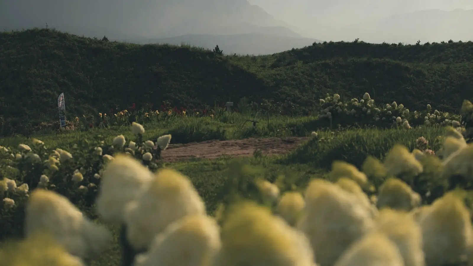 How El Nino-Driven Weaker Monsoon Rains Could Impact India