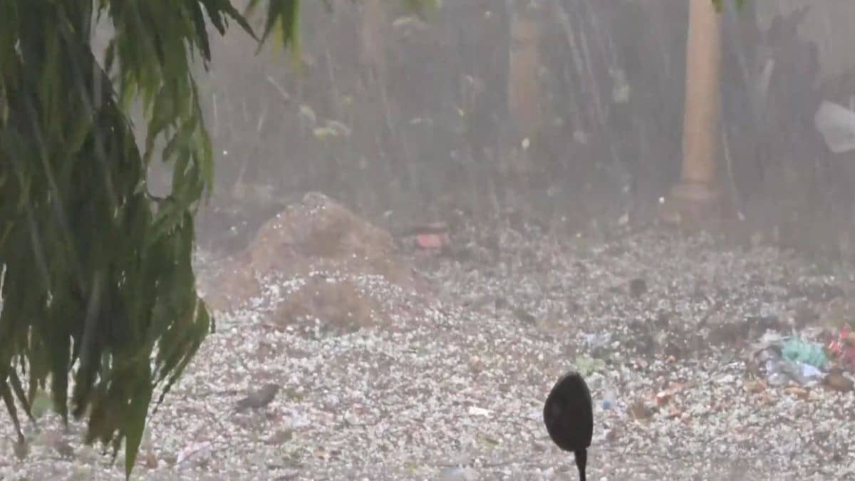 Western Disturbance Brings Sudden Hail and Rain to Delhi-NCR, Netizens Share Videos
