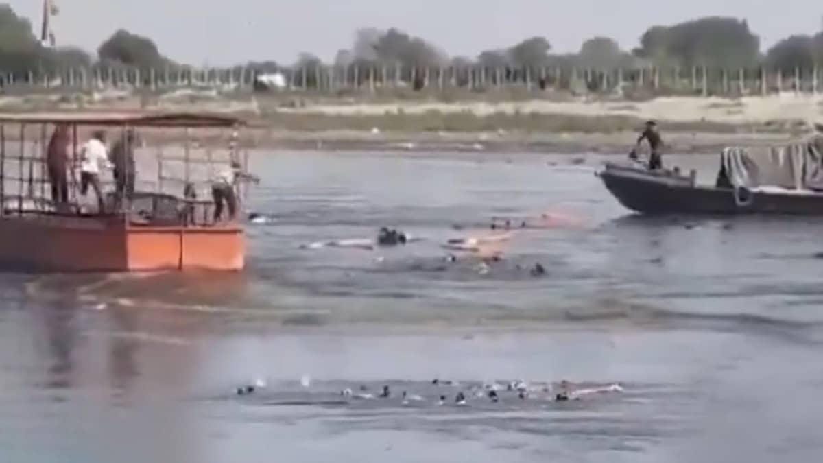 Mathura Boat Tragedy: Death Toll Rises to 12 as Search Continues Along Yamuna