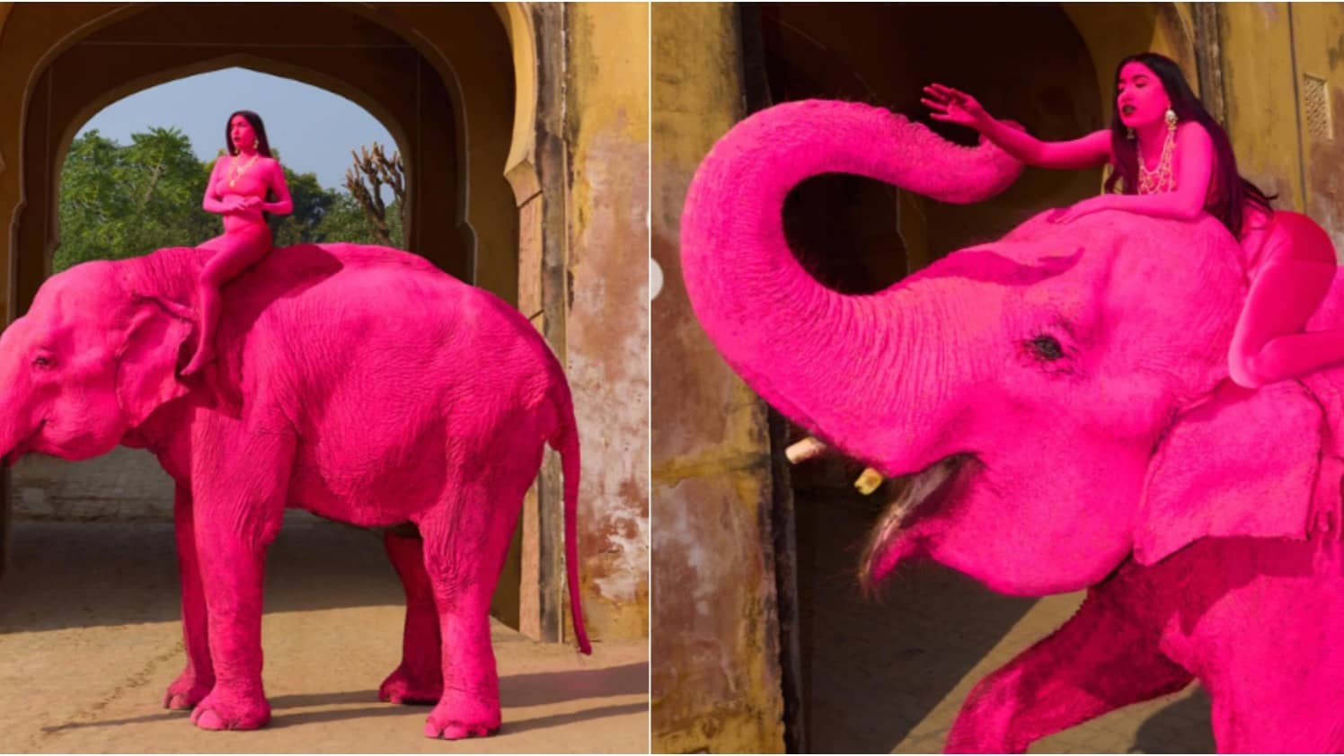 PETA India Urges Russian Photographer to Withdraw ‘Pink Elephant’ Print Following Animal’s Death