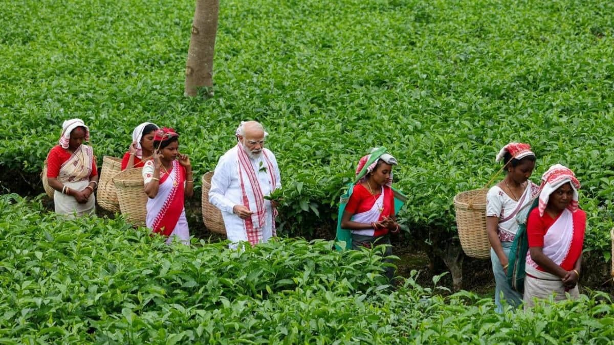 PM Modi Plucks Tea Leaves At Manohari Garden Ahead Of Mega Rallies For Assam Assembly Elections | Pictures Inside