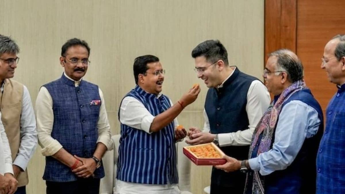 Rajya Sabha Chairman Approves Merger Of 7 AAP MPs With BJP; Tally Now Rises To 113