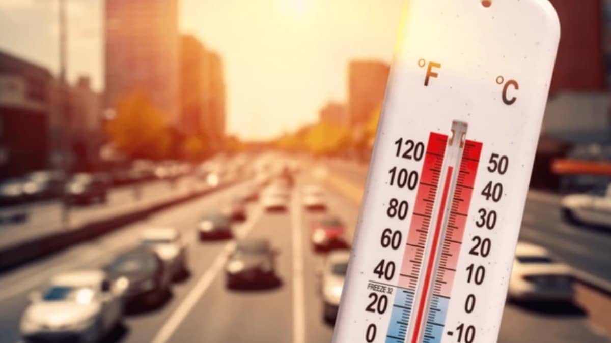 ‘Fire Raining From Sky’: Jaisalmer Simmers At 46°C, Camels Seek Refuge As Traffic Vanishes