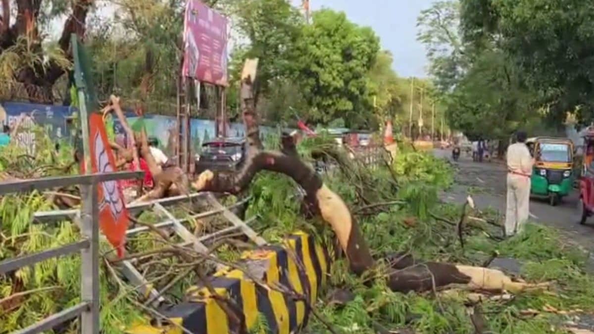 3 Dead, 5 Injured as Severe Storm Hits Patna