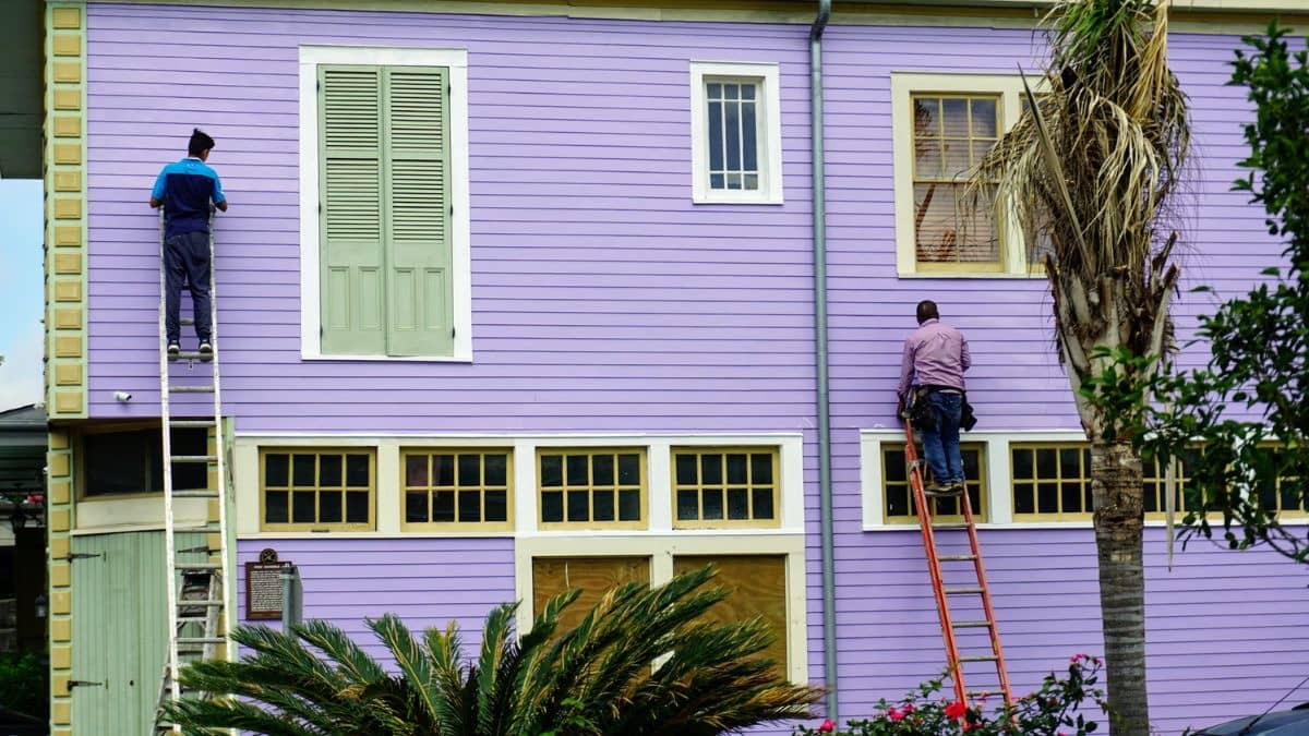 Berger Paints Hits 3-Month High: 3 Key Takeaways From Q4 Results