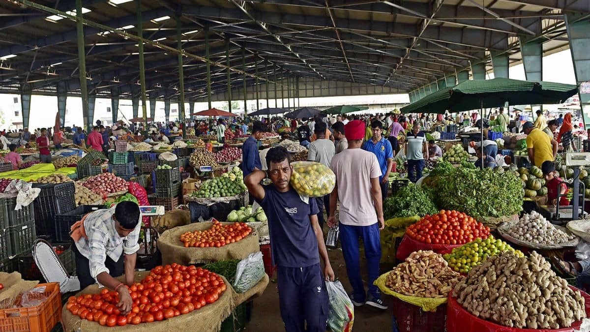 RBI to Hold Repo Rate Until Inflation Hits 6%; Crude Over $100 Remains Key Risk: Report