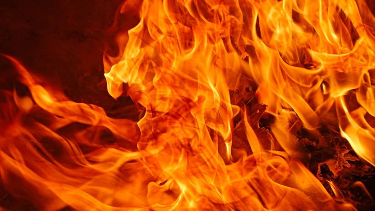 Delhi Tragedy: Man Dies by Suicide After Setting Himself Ablaze Outside In-Laws’ Home, Blames Wife in Social Media Reel