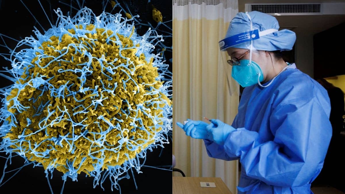 Ebola Alarm In India: Traveller From Uganda Quarantined in Bengaluru Over Suspected Infection, Says Source