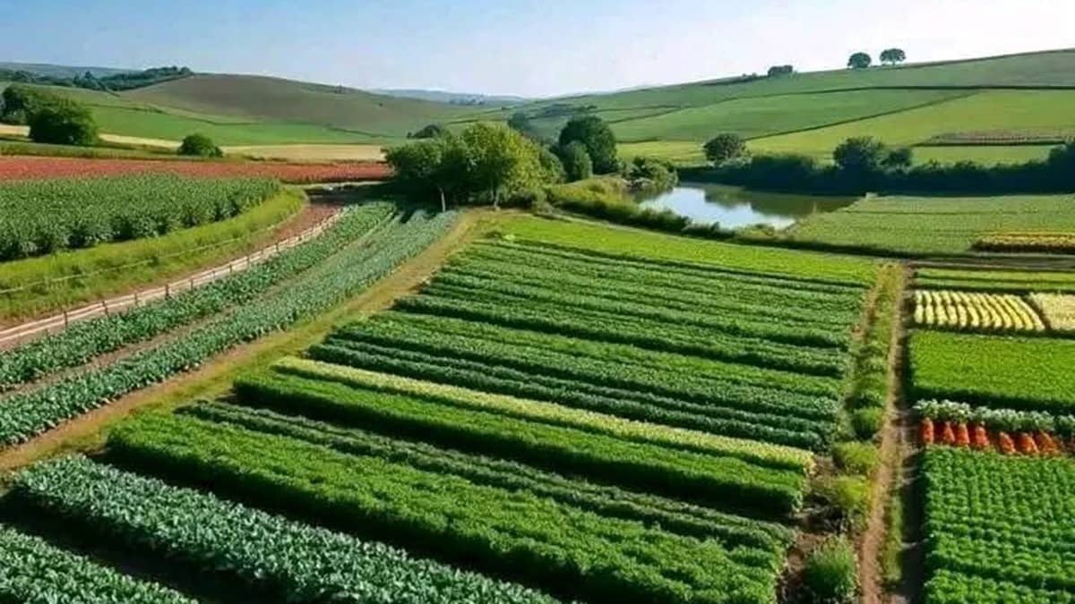 India Releases 2996 Climate-Resilient Crop Varieties, Establishes Climate-Resilient Villages Across 28 States To Tackle Extreme Weather Risks