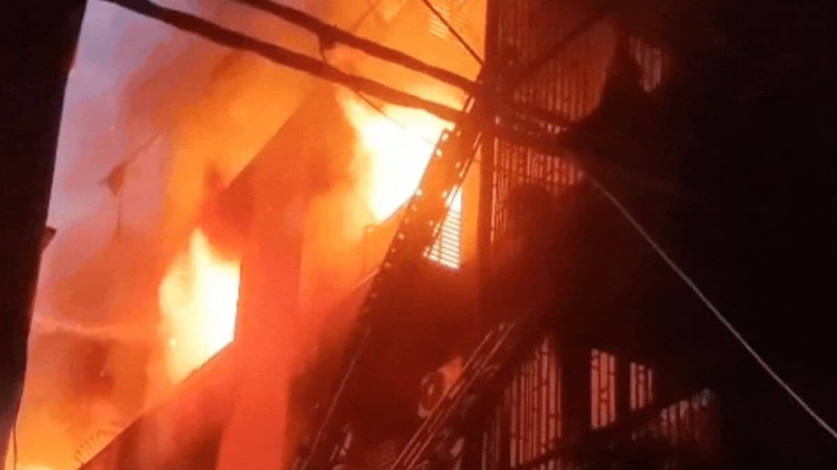 Charred Remains On Staircase, Gutted House: Chilling Video Shows Aftermath of Delhi Fire That Killed 9 | VIDEO