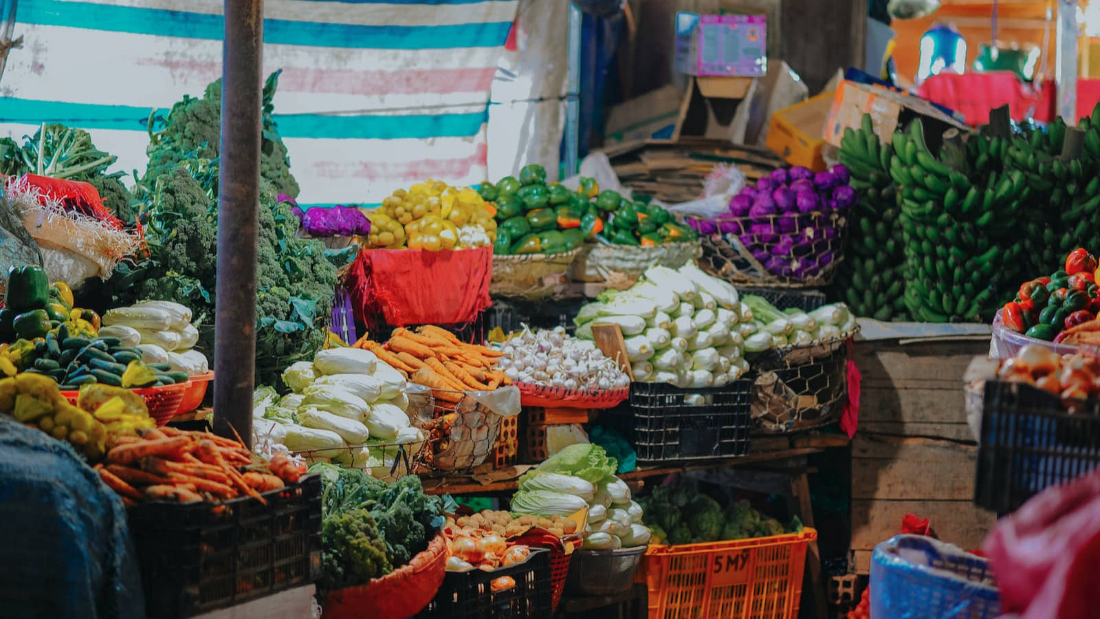 India Wholesale Inflation Surges to Record 8.3% in April as Fuel and Power Costs Jump 24.71%