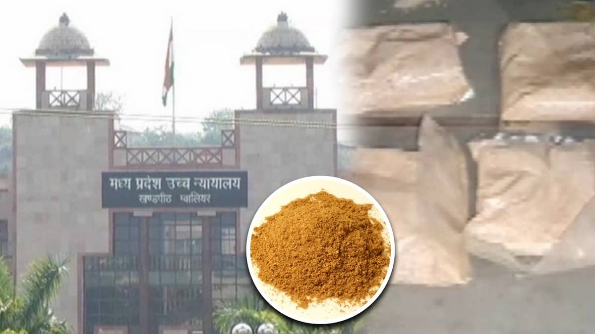 Spices Mistaken for Heroin at Airport: Man Jailed For 57 Days; MP High Court Awards Rs 10 Lakh as Compensation After 16 Years
