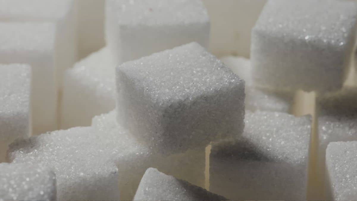 India Bans Sugar Exports: How Are Sugar Stocks Reacting To This Major Update?