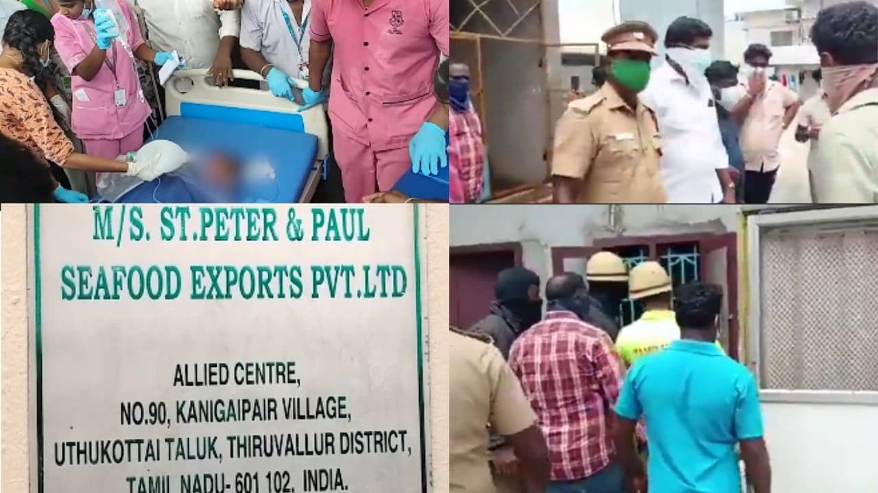 Tamil Nadu Gas Leak Tragedy: 7 Dead, 60 Hospitalized, CM Vijay Orders Inquiry Committe