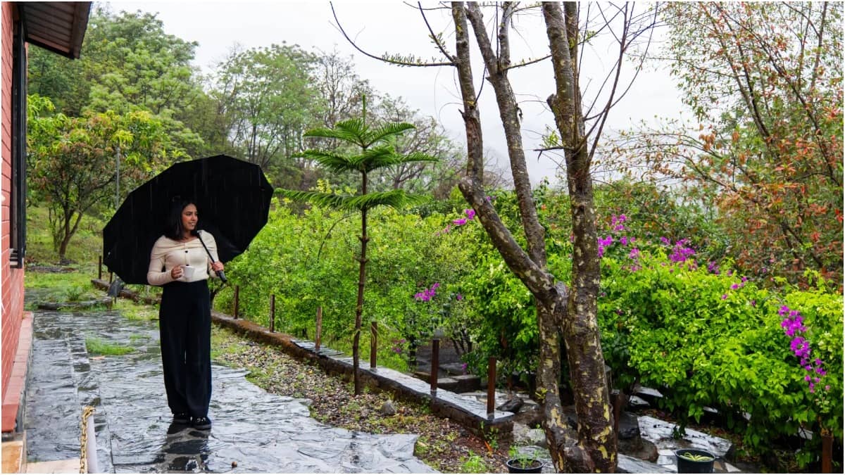 An Oasis Of Calm Above The Crowds In Mussoorie