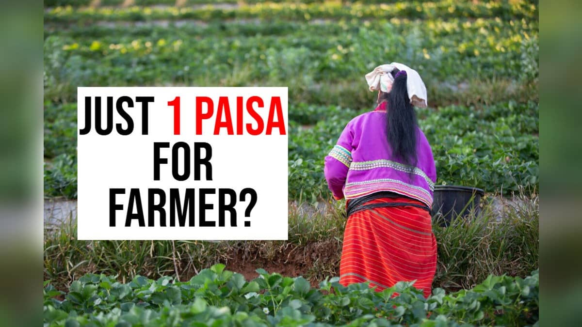 A Penny Mistake: Farmer Expecting Rs 2,000 Gets ‘1 Paisa’ Under PM-Kisan Scheme, Govt Responds