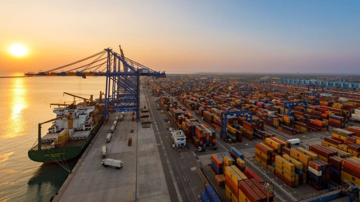 From Adani Ports To Adani Power: Why Adani Stocks Have Declined Upto 4%