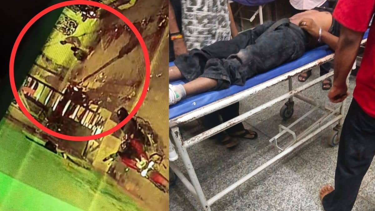 Chandigarh Shocker: Youth Stabbed to Death in Mauli Jagran Colony, Disturbing Visual Surfaces