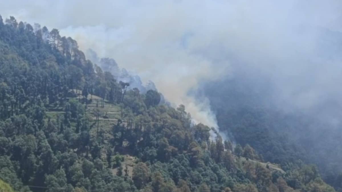 Forces Suspect ‘Lavish, Well-Built Hideout’ Inside Rajouri Forest As Anti-Terror Operation Enters Week 3