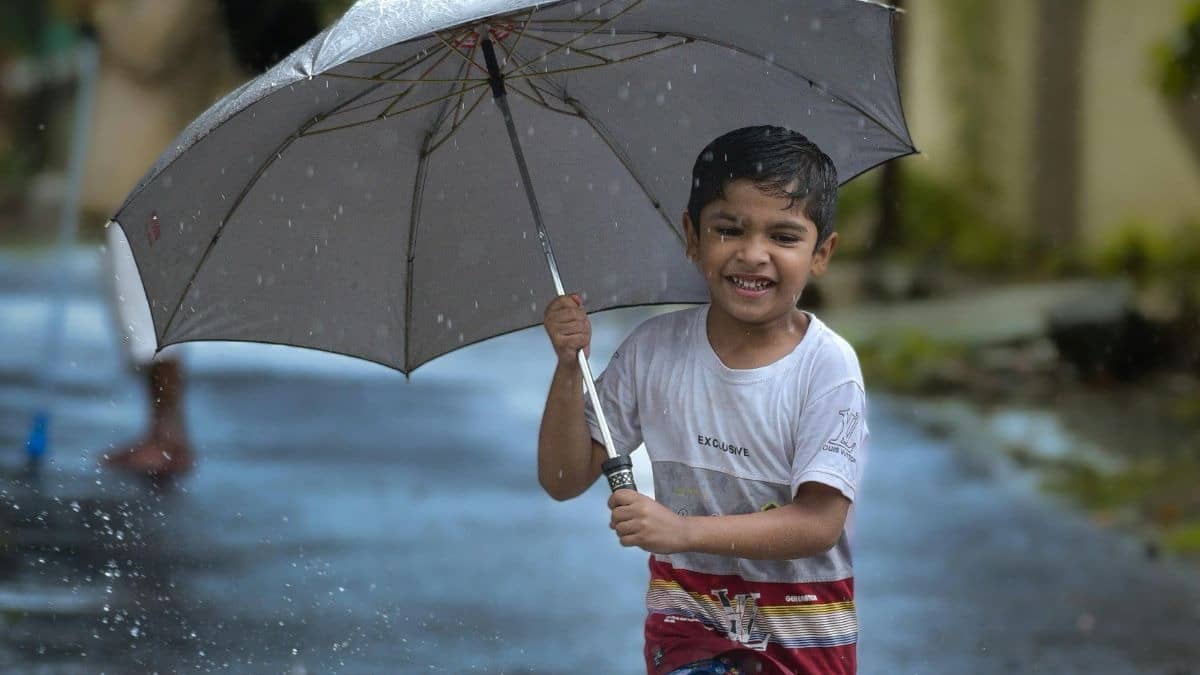 Northwest India Weather: IMD Predicts Rainfall Till June 19, Yellow Alert in Key States