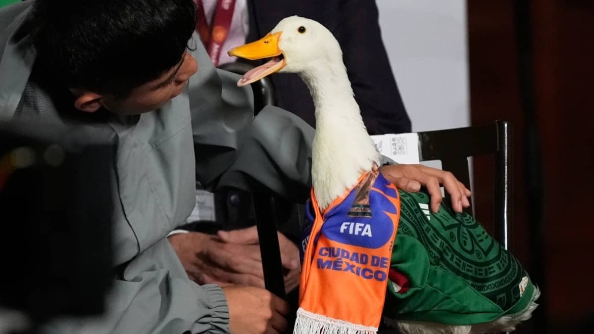 Merlín The Duck Takes a Trip to Stadium, But FIFA Rules Keep Him Out of Mexico’s World Cup Match