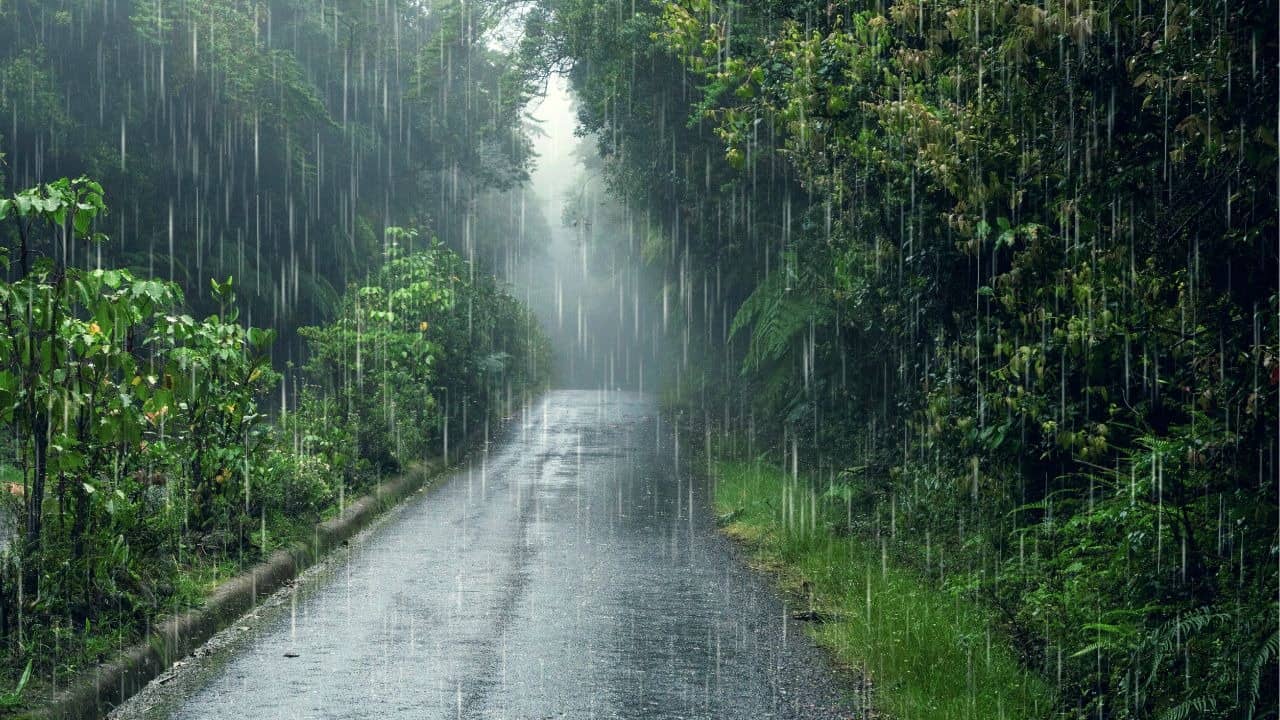 Monsoon Keeps India Waiting: Why the Official Onset Over Kerala Has Been Delayed