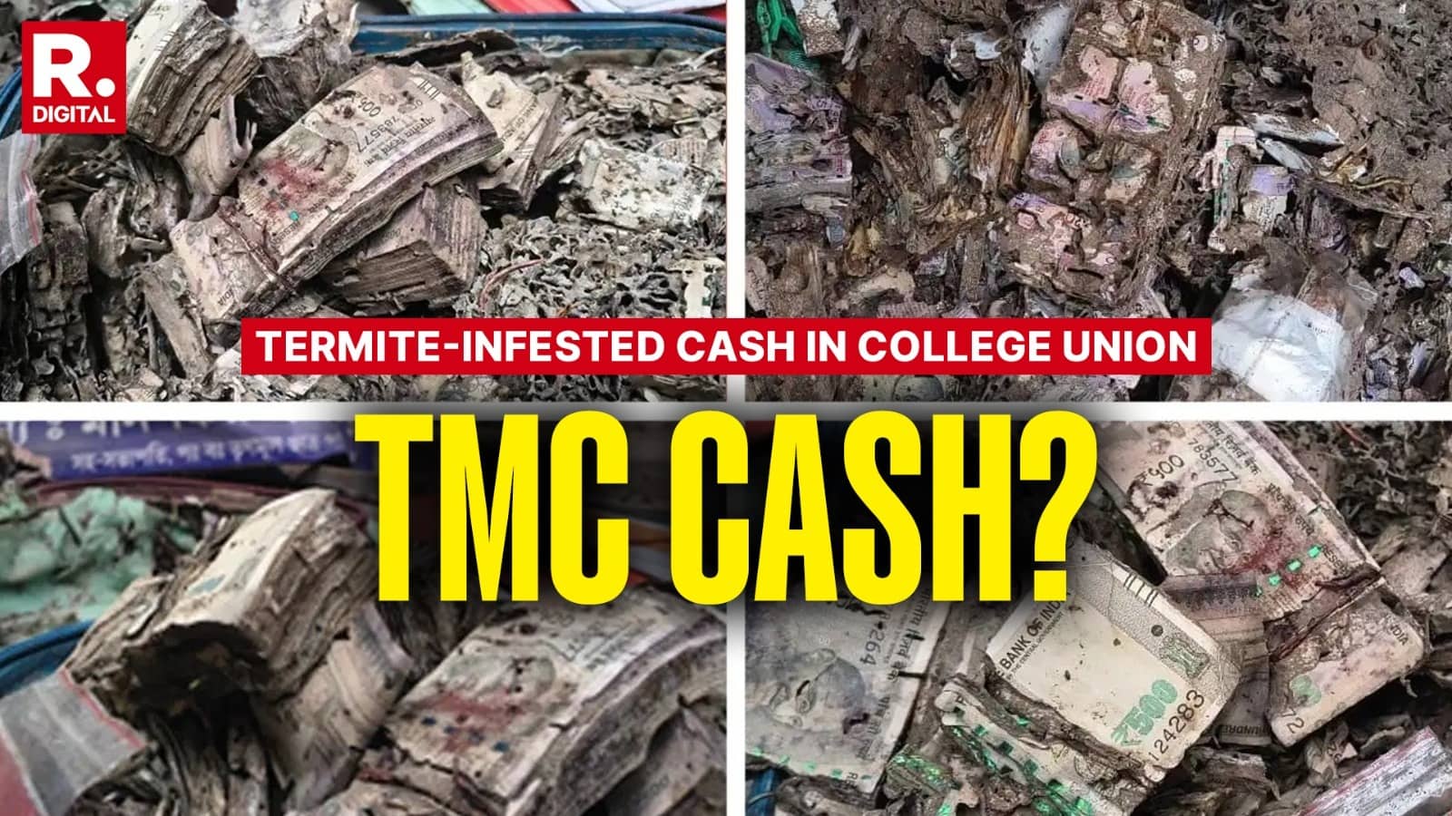 Termites Eat Rs 1 Lakh Cash Stashed In ‘Secret Room’ Of Kolkata’s Surendranath College; Pics Go Viral