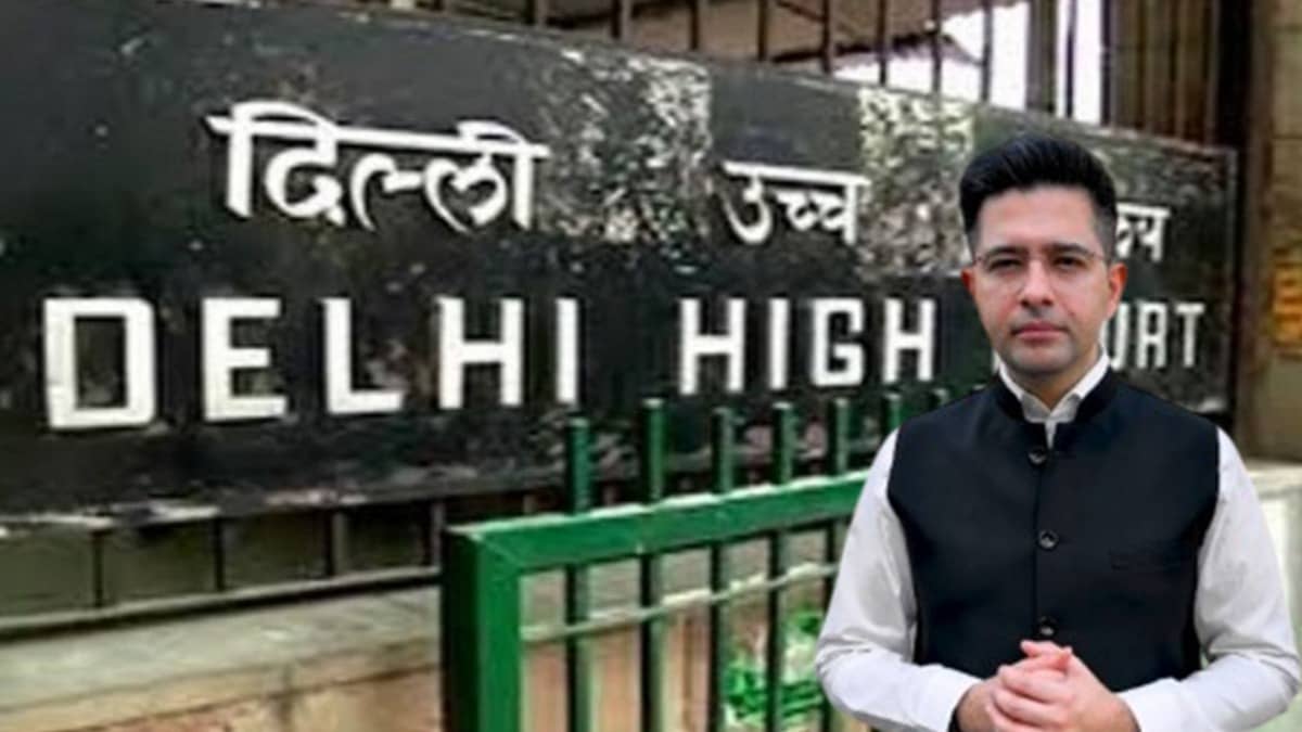 ‘Freedom of Speech Cannot Be Used To Run Paid Character Assassination Campaign’: Raghav Chadha’s Counsel Welcomes Court Order
