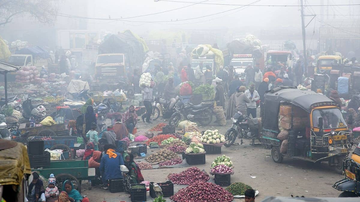 Below-Normal Rainfall Does Not Guarantee Higher Food Prices; Spatial & Monthly Distribution More Critical: Report
