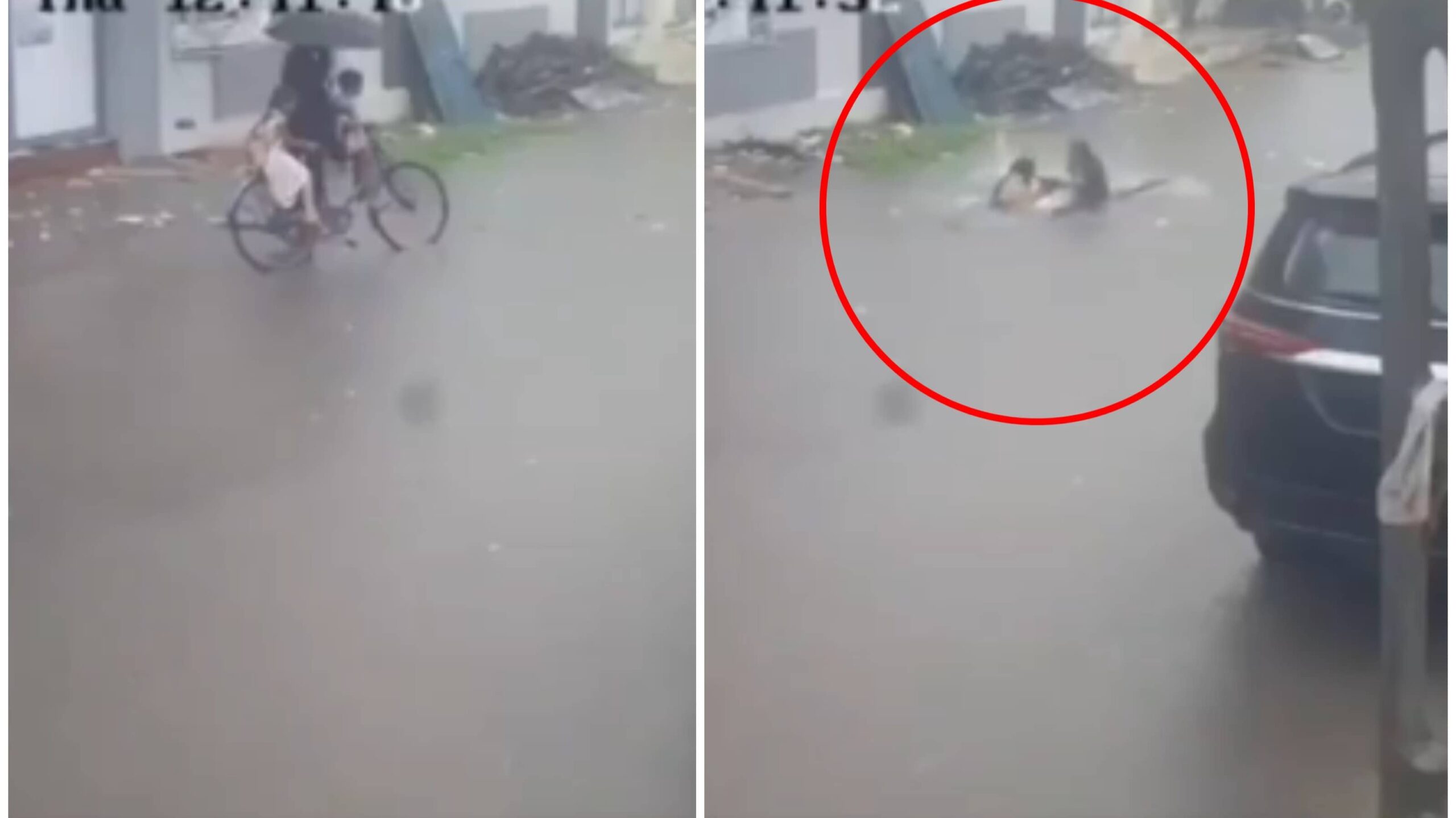 Miracle Escape: Terrifying CCTV Video Shows Man And Children Plunging Into Invisible Open Manhole In Gujarat