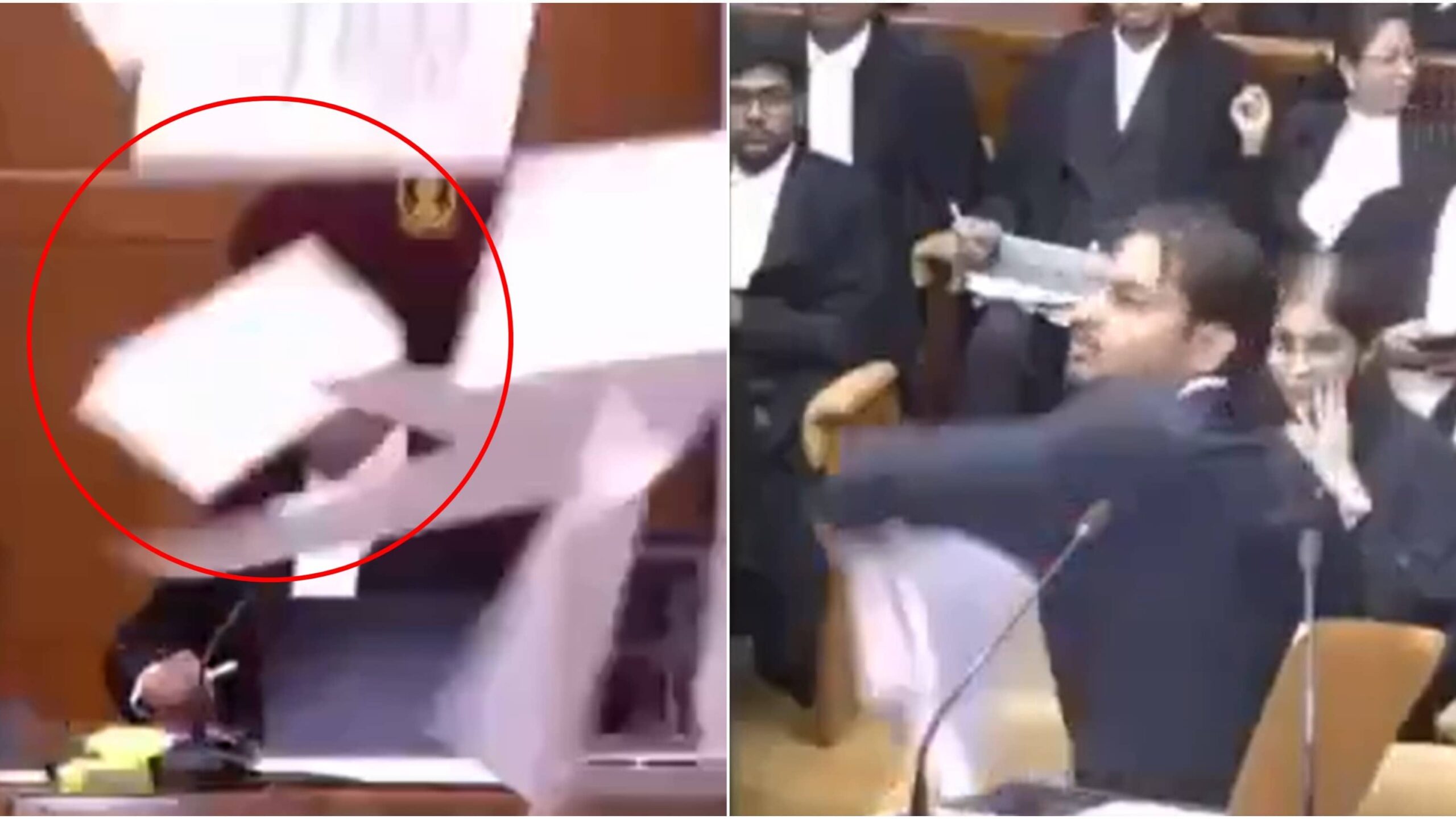 ‘Mr Judicial Servant, I Order You…’: Man Flings Papers, Abuses CJI, Sparks High Drama In Supreme Court With His Astonishing Outburst