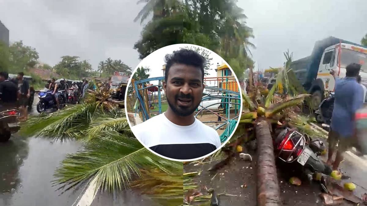 Monsoon Peril: Two Days After Chembur Tragedy, Motorist Dies After Coconut Tree Falls on Him In Bhayandar